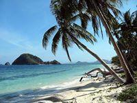 Taste Of Indian Foods